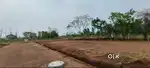 Plot for sell