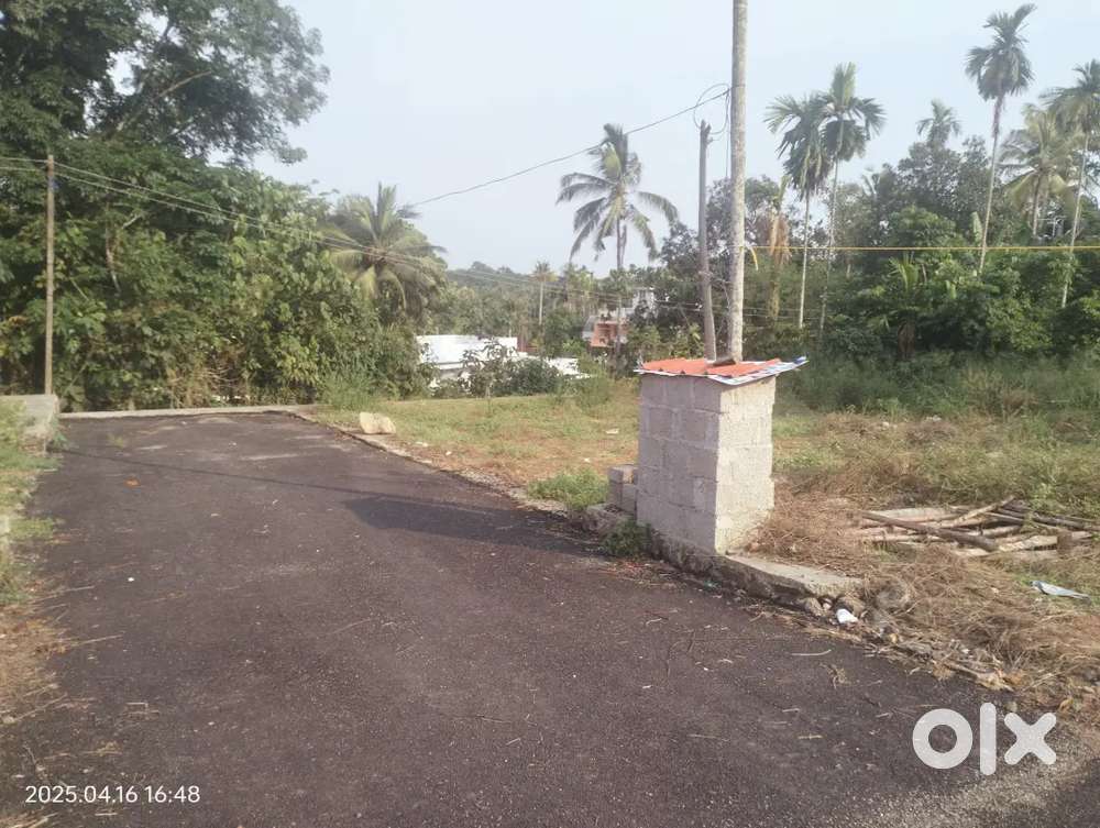 Infopark puthenkurish thiruvaniyoor nadukurish plot for sale