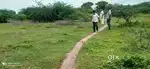 Land sale in polur chetpet, Tiruvannamalai district