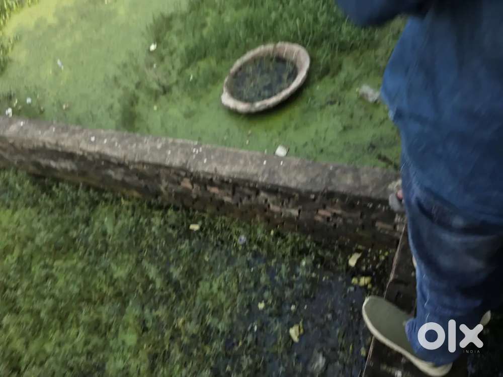 Gola road near st Karen's school