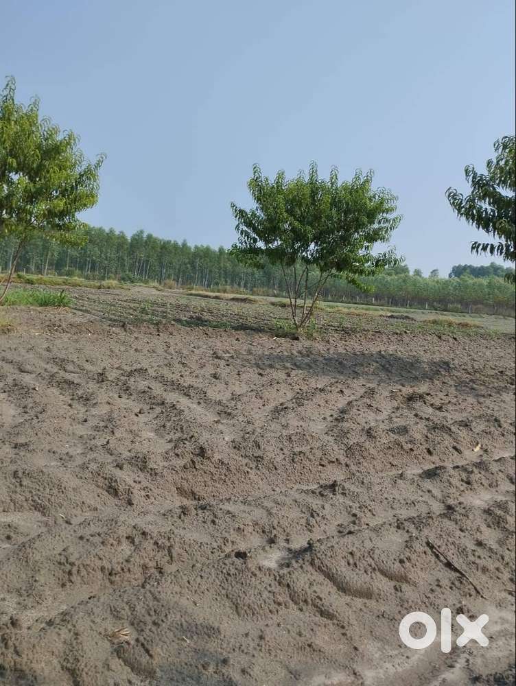 31 Kanal 2 Marla Land for Sale in Bassi Maroof Hussainpur