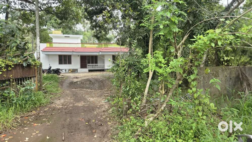ചേർത്തല വെള്ളിയാകുളം വാടക വീട്