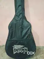 Intern Guitar