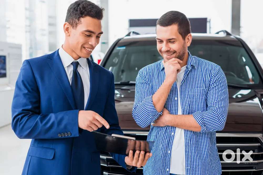 50+ opportunities available