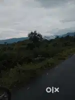 On Road point Bommidi to yercaud road
