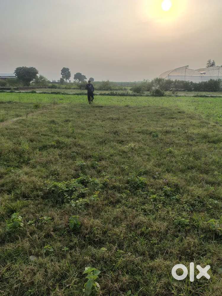 150 gazz plot in selakuin