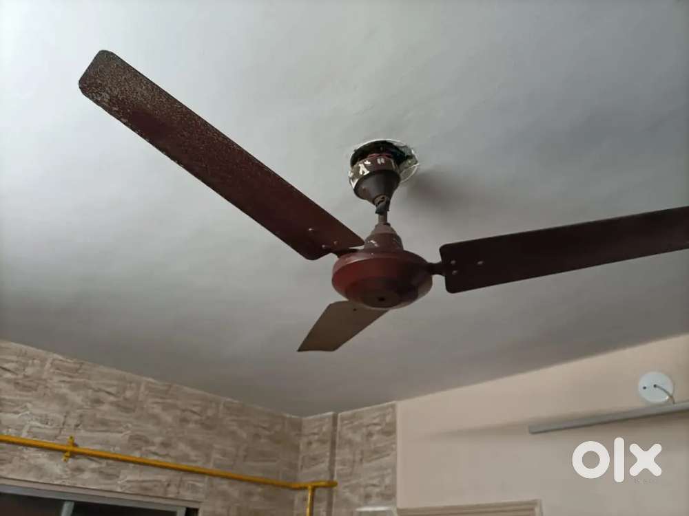 Brown Fan (good condition)