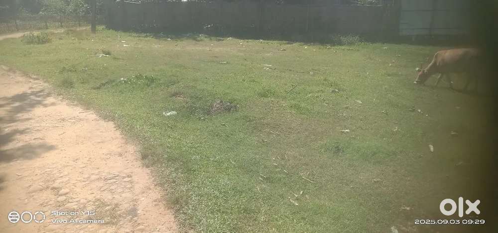 Katal road
