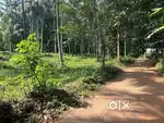 31 cent plot for sale