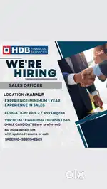 SALES OFFICER