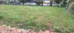 350000 per cent, Total 10 cent plot