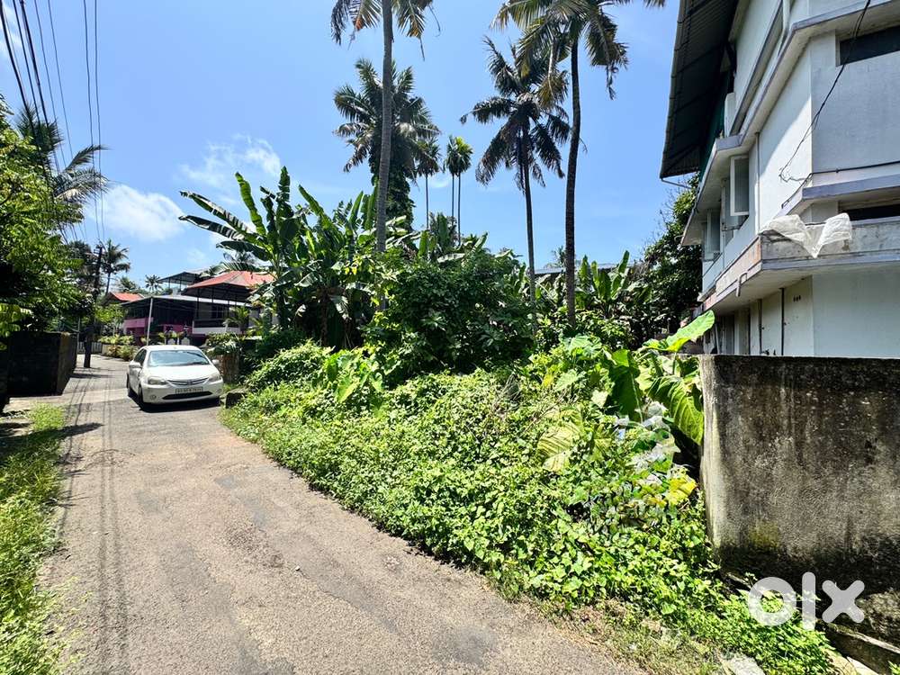 7 cent for sale reidential cum Commerical land at kathrikadavu junctio