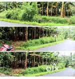 125 cent plot for sale near airport