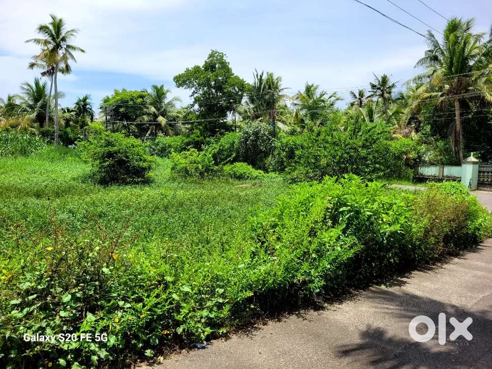 80 cents  of land for sale