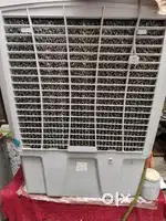 Symphony sumo 75xl dessert cooler