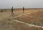 New colony is launched, so the plots are available in very low budget