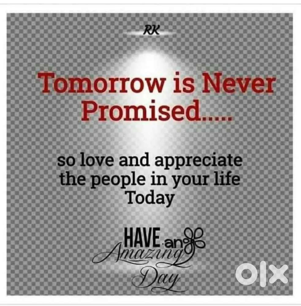 Back office executive