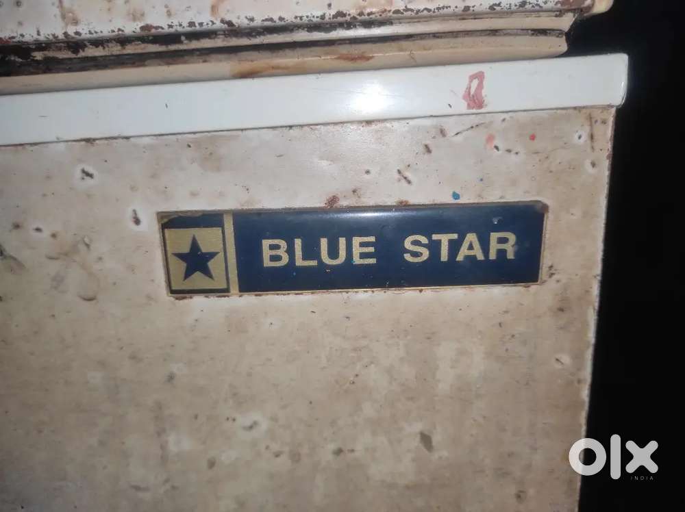 Blue star 500L deep fridge