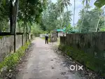 Kollam Mevaram junction dis 600 meter 6 or 10 cent land