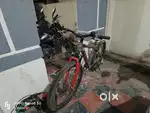 SKULL RIDER LIMITED EDITION