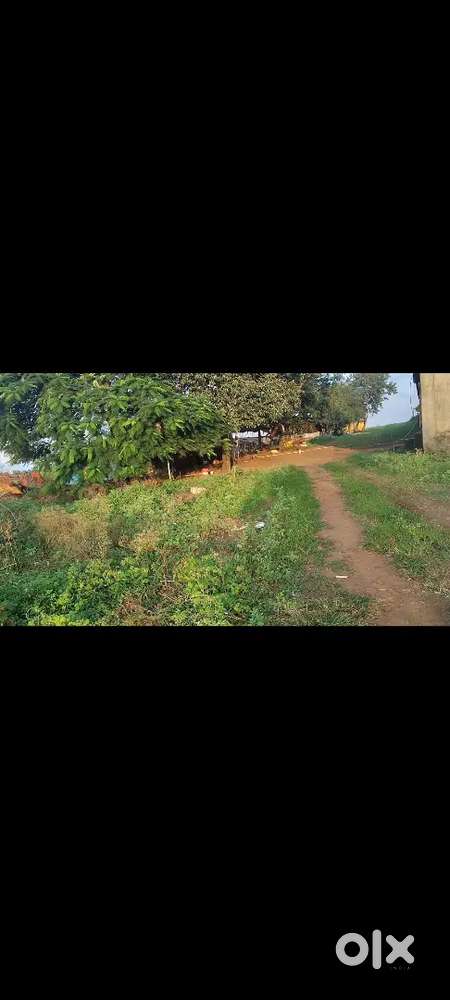 पोल्ट्री फार्म 58 गूंथा जमीन पानी 20000 पशुओं का शेड