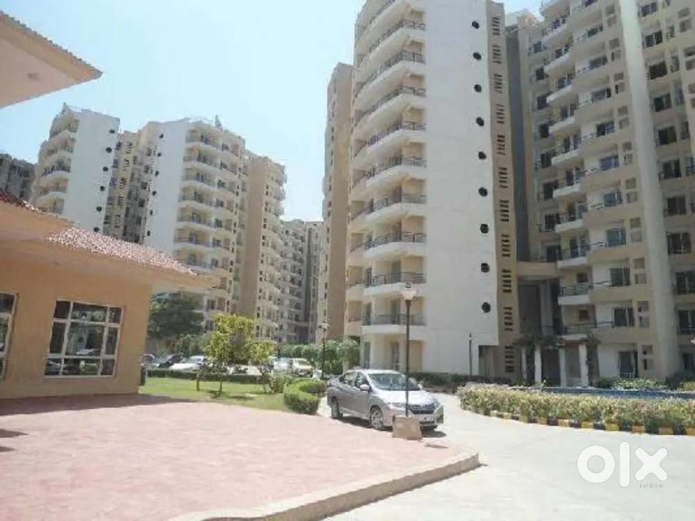 Best society and good location