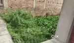 चिलवनिया, चांदमारी, मोतिहारी में जमीन बिक्री हेतु उपलब्ध।