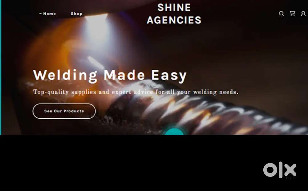 Shine agencies