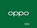 Costomer support executive