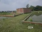 मोहनलालगंज अतरौली में फ्रीहोल्ड प्लॉट उपलब्ध 1500 rs sqft