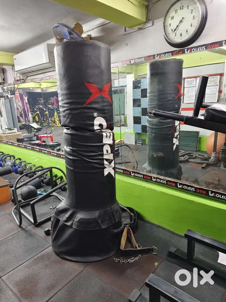 Heavy duty Punching Bag and chinup machine