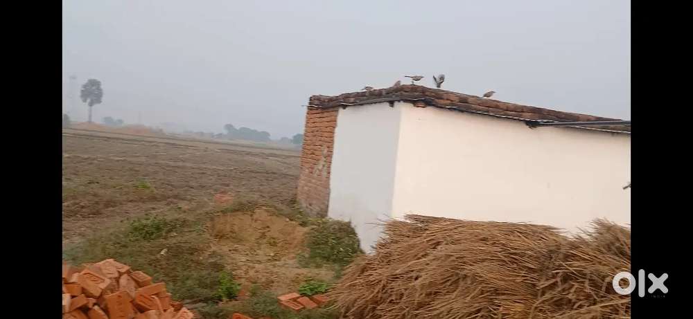 Jamin azamgarh baithauli bypass se 1km andar h