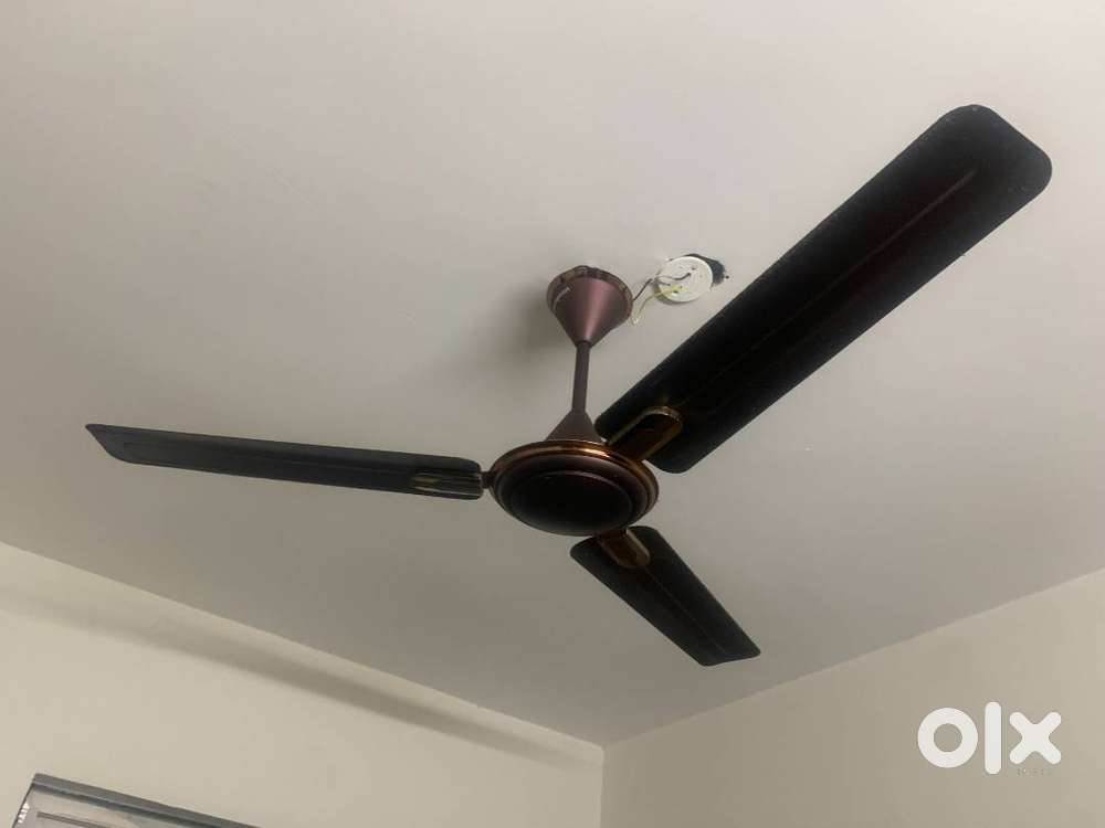 Crompton PREMION Ceiling Fan for Home
