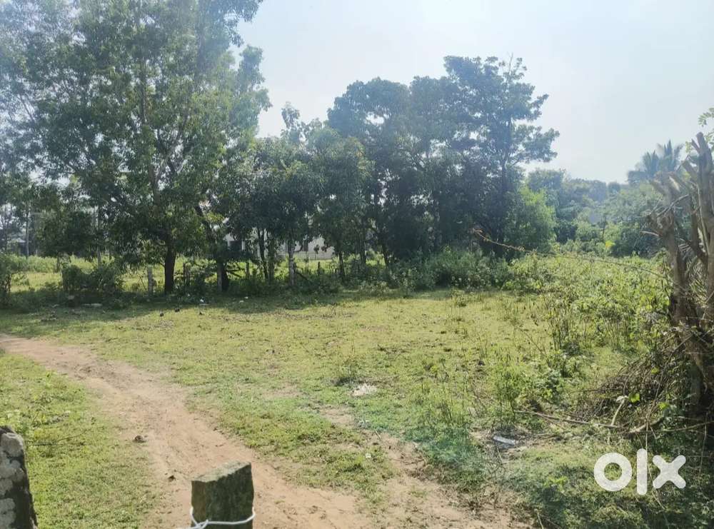 PROPERTY FOR SALE AT REASONABLE PRICE