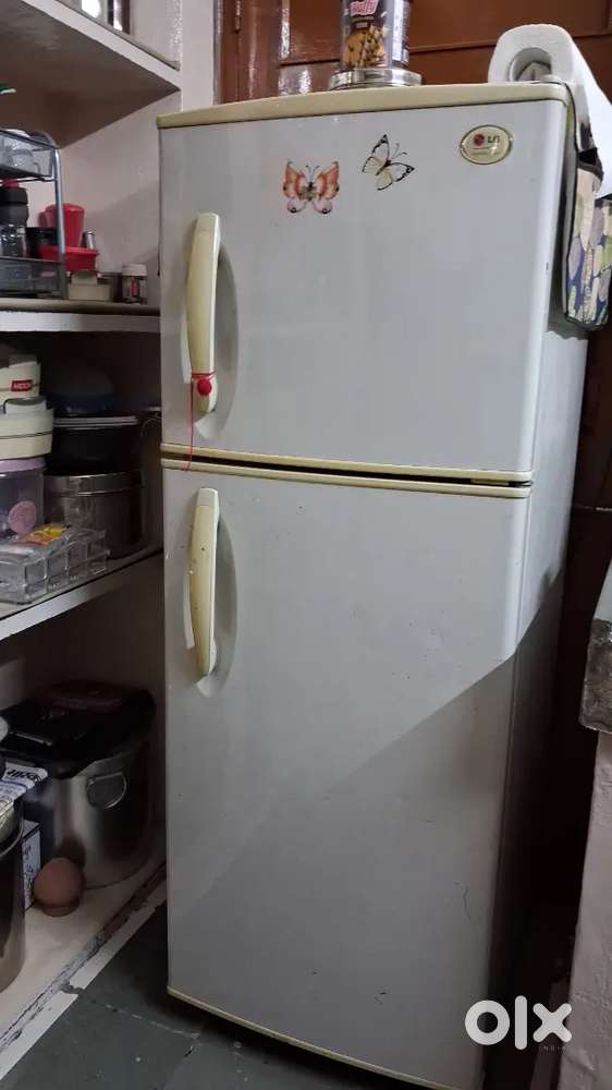 LG double door fridge