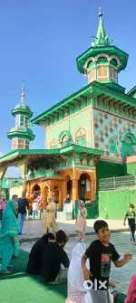 Driving all over kashmir per day 1500