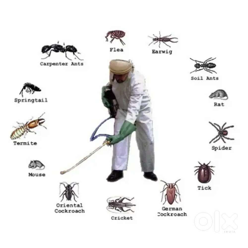 All types of pest control services done with less price with warranty
