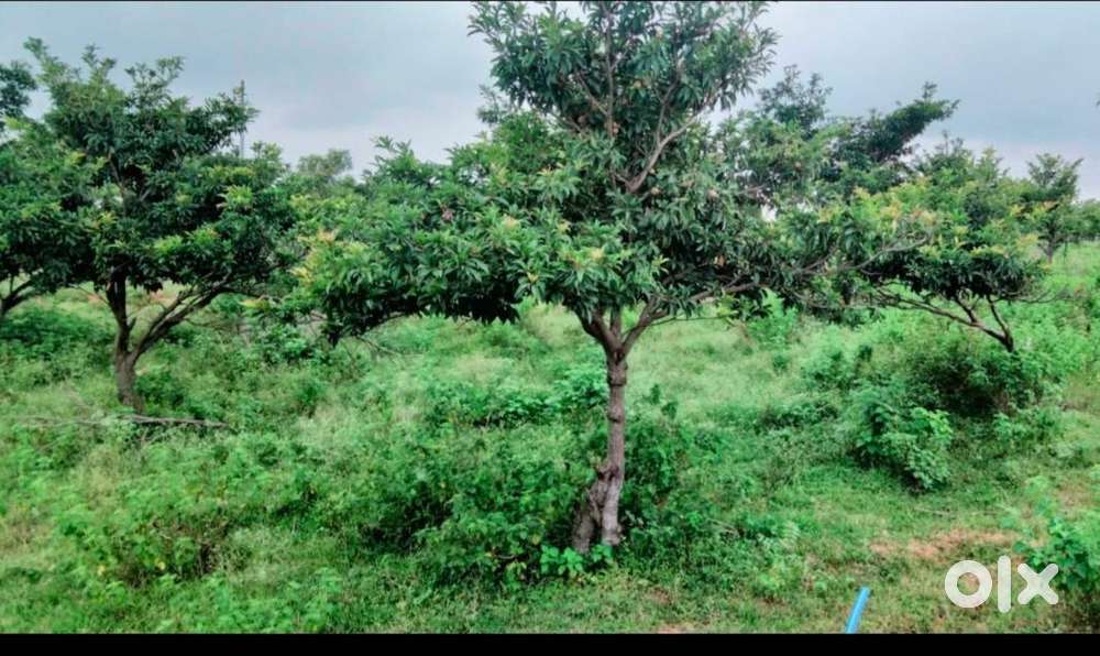 Prpperty located in BBG group 5 years old property