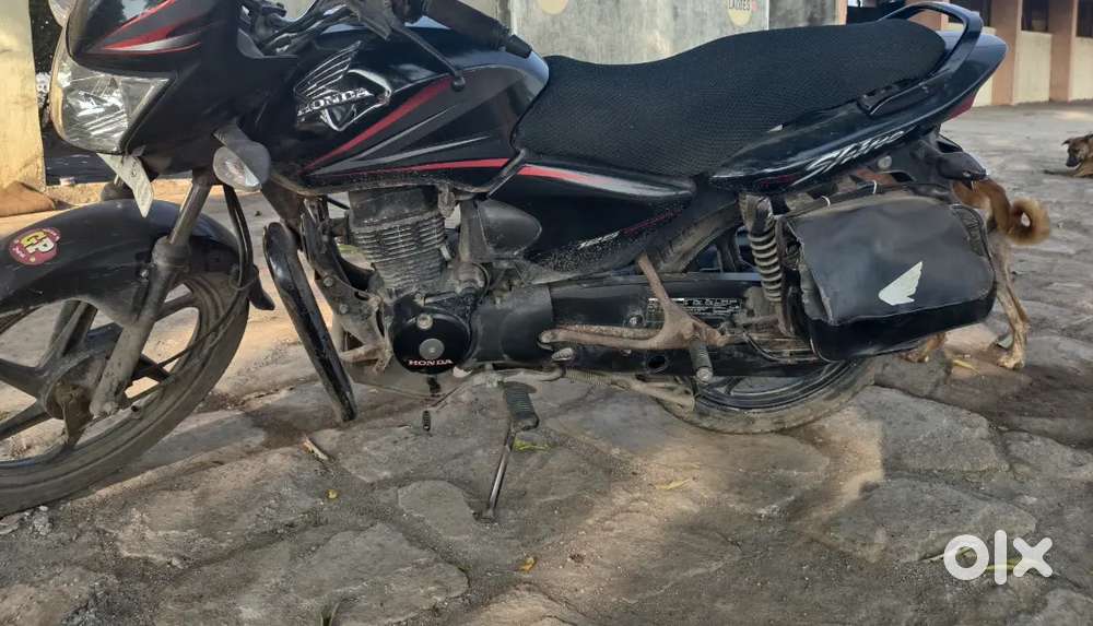 Shine tip top condition first honour