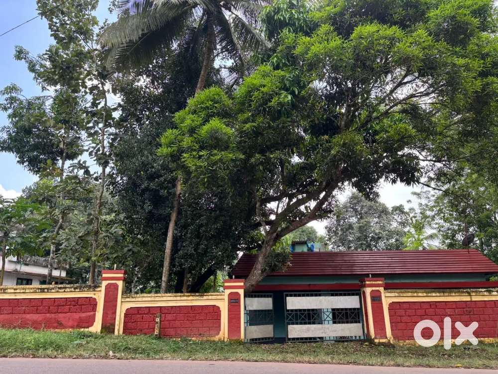 PLOT FOR SALE മേലാറ്റൂരിൽ വീടോട് കൂടിയ 12 സെൻറ് സ്ഥലം വിൽപനയ്ക്ക്.