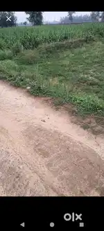बड़ा बाईपास निकट Mud village रेस्टोरेंट के पास
