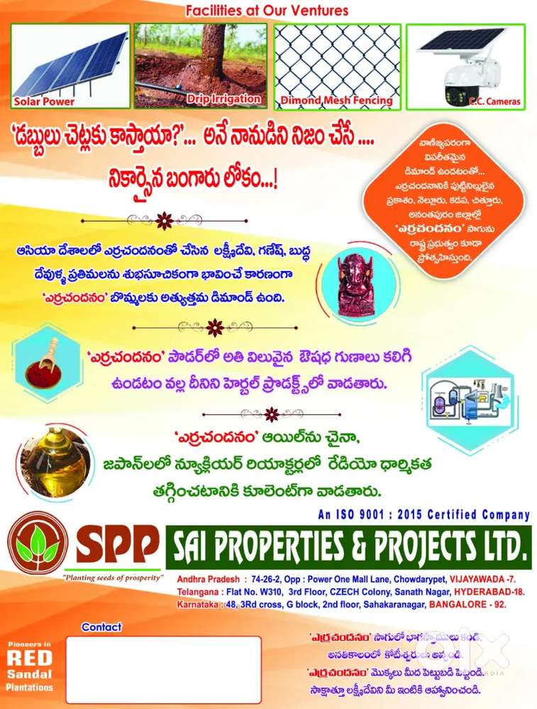 1/4 acer Red sandal wood agriculture farm lands for sale