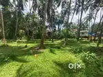 25 Cents House / Flat plot for sale at Odumbra