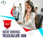 BPO Telecalling
