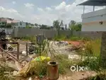 KAKKANAD INFOPARK 3.5 KM 3.5 CENT FOR SALE.