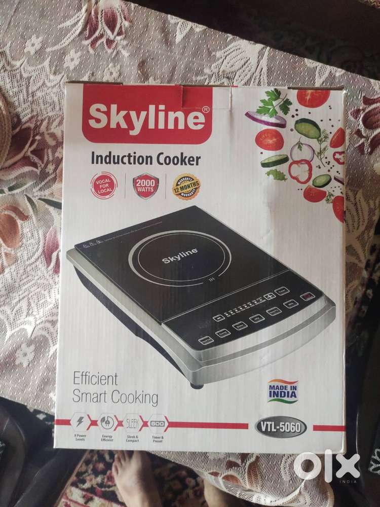 Skyline induction