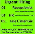 Receptionist,Tele caller  NOIDA sector 18 Atta