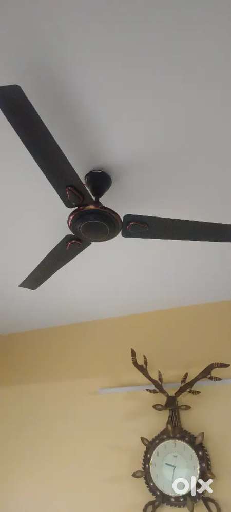 ceiling Fan