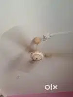 Ceiling Fan