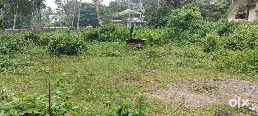 5 cent or 10.25 cent for sale